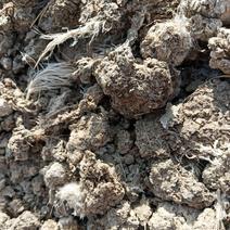 有机肥原料，干鸡粪，精选过筛保证质量，无土沙和大块。