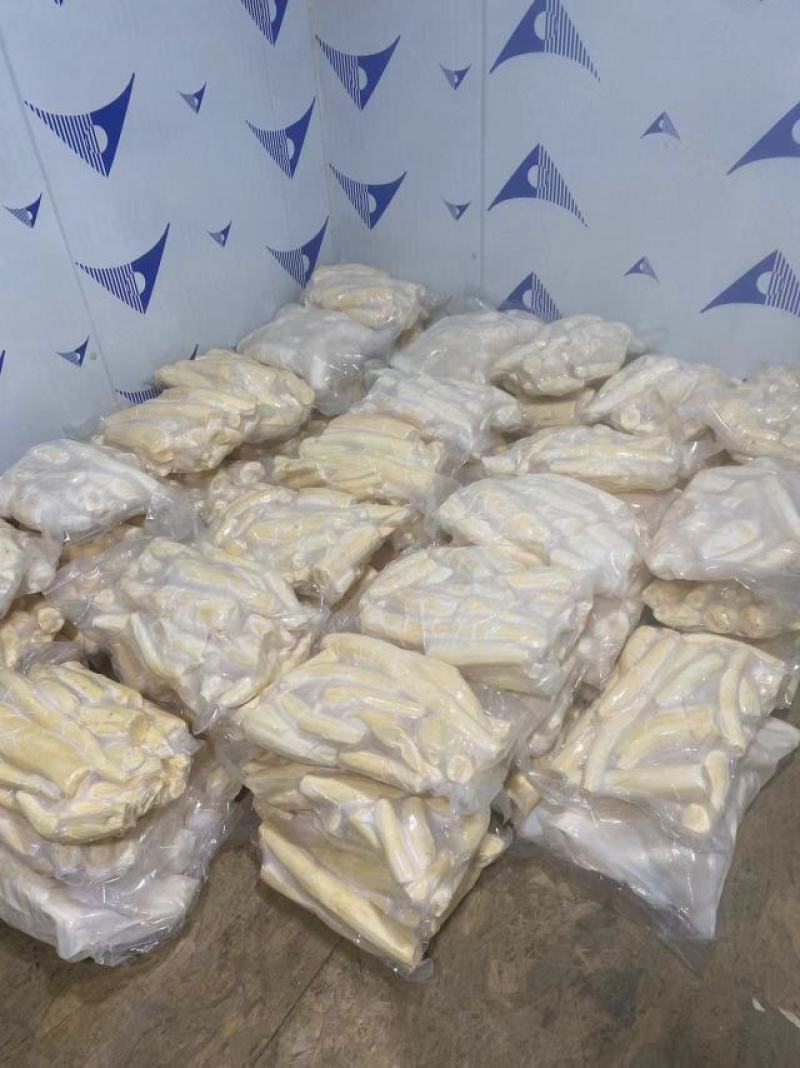 大量批发，华南9号，黄肉木薯！