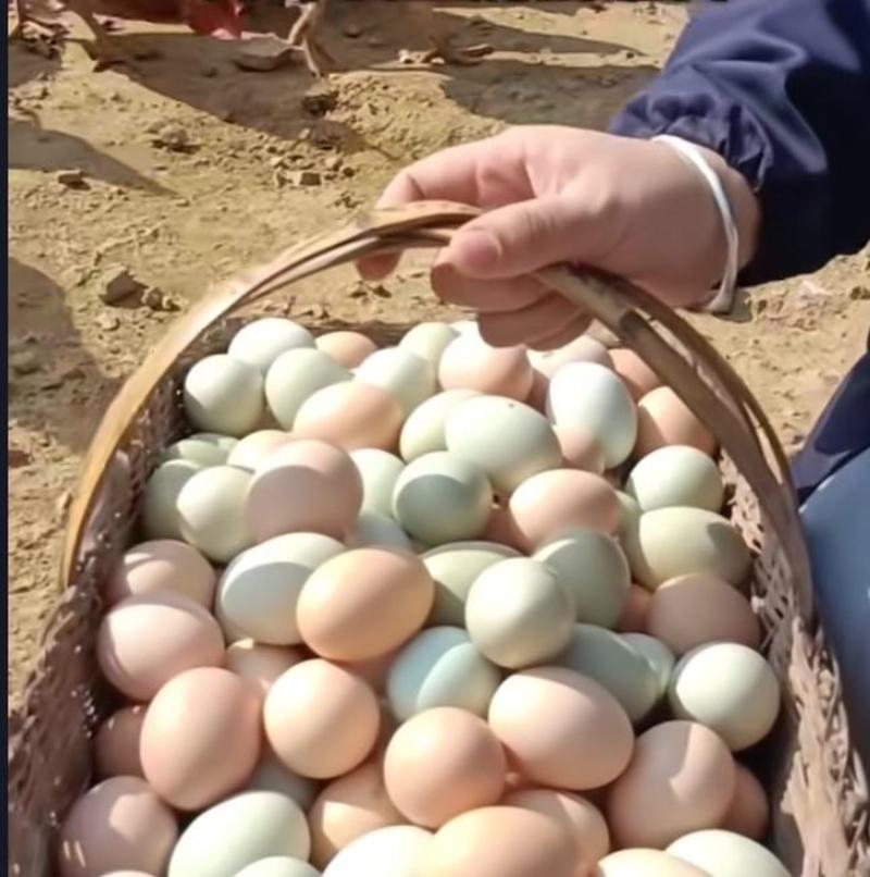 乡村土鸡蛋