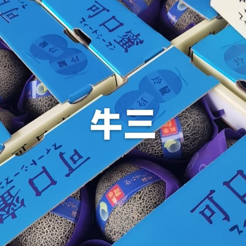 网纹瓜大量现货供应各大电商平台，商超等大中小批发市场。
