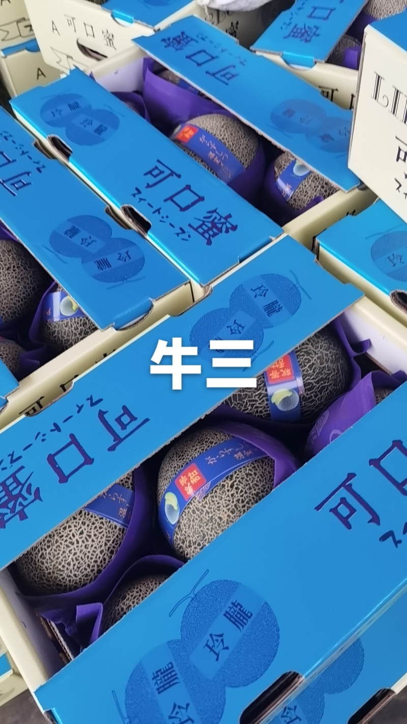 网纹瓜大量现货供应各大电商平台，商超等大中小批发市场。