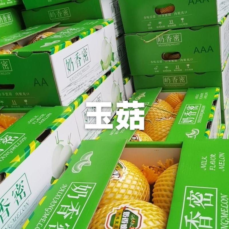 玉菇大量现货供应各大电商平台大中小批发市场。