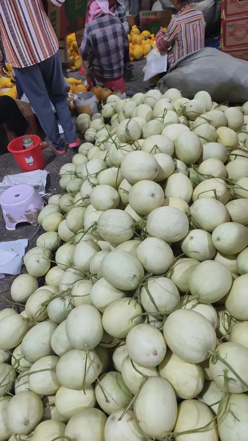 玉菇大量现货供应各大电商平台大中小批发市场。