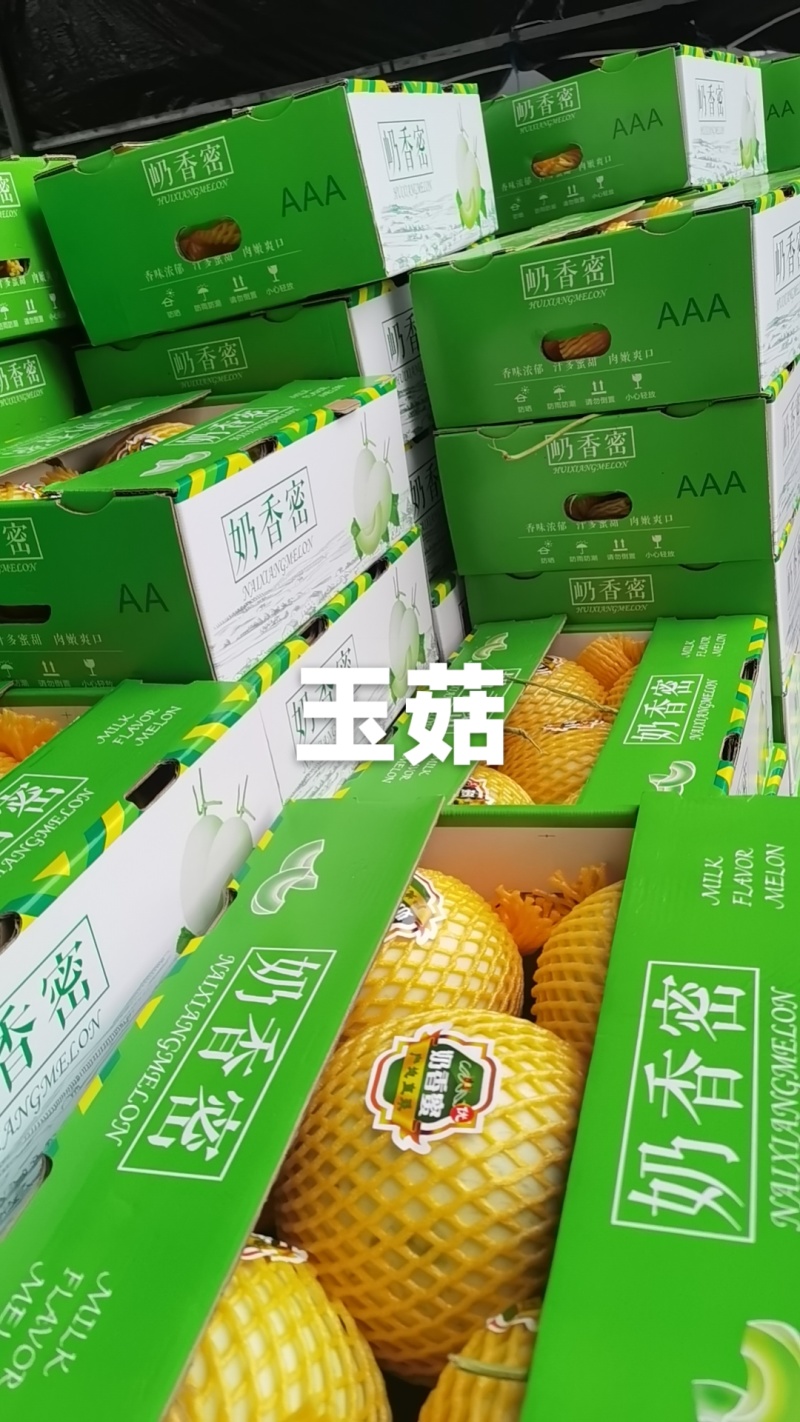 玉菇大量现货供应各大电商平台大中小批发市场。