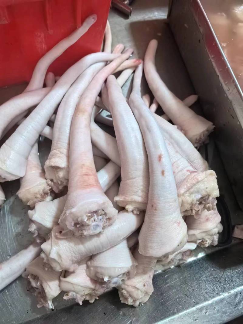 猪尾价格美丽需要的速来