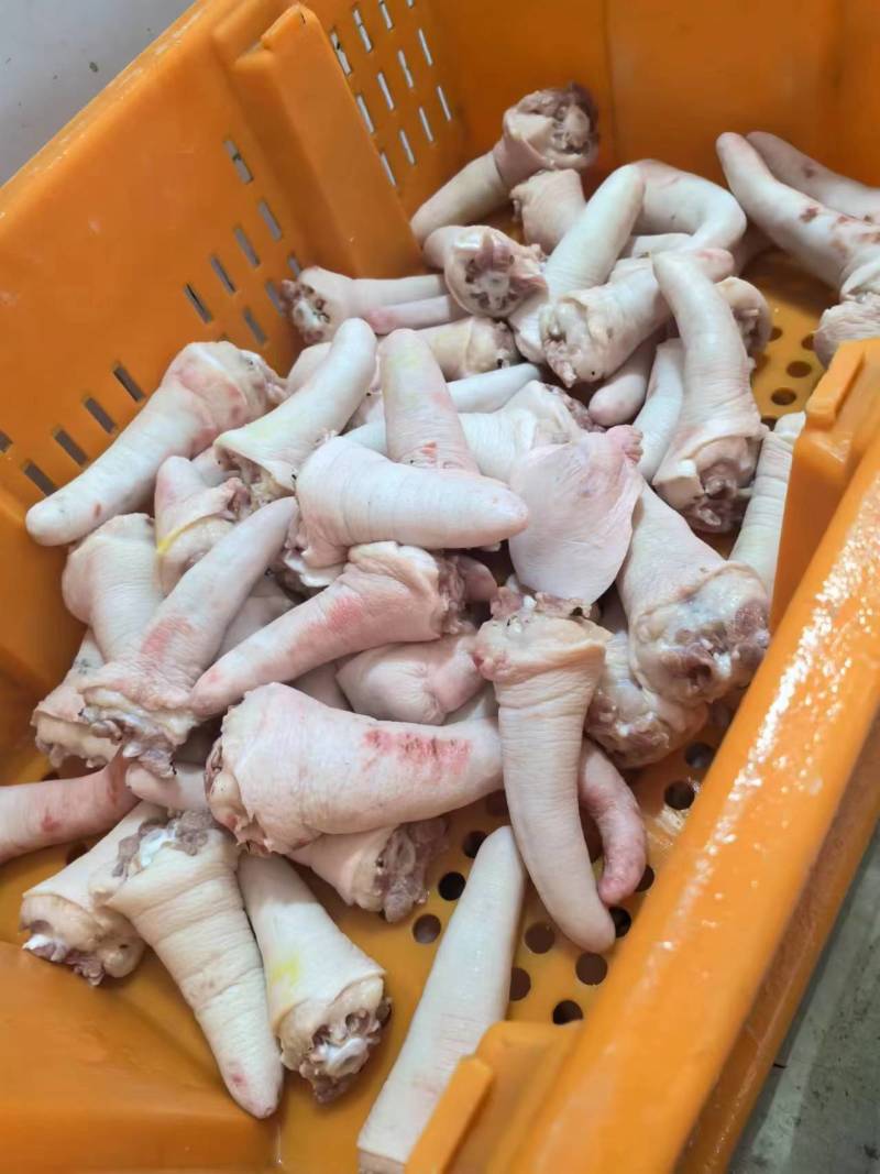 猪尾价格美丽需要的速来