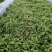 恩施高山富硒藤茶