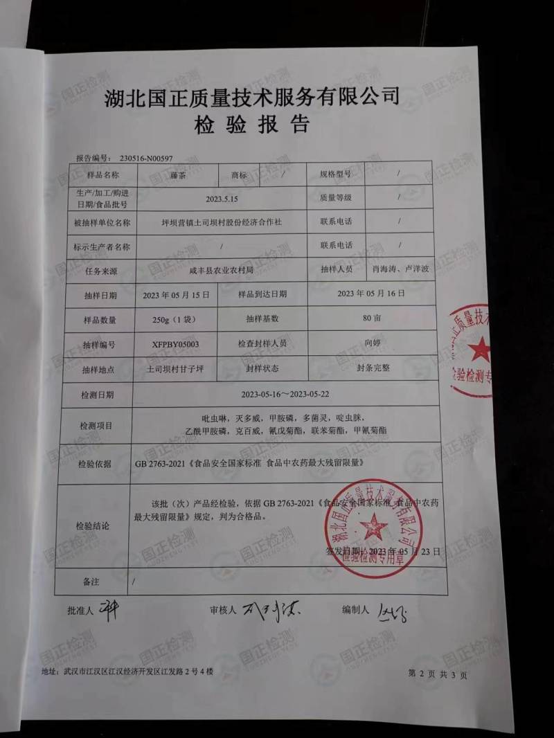恩施高山富硒藤茶