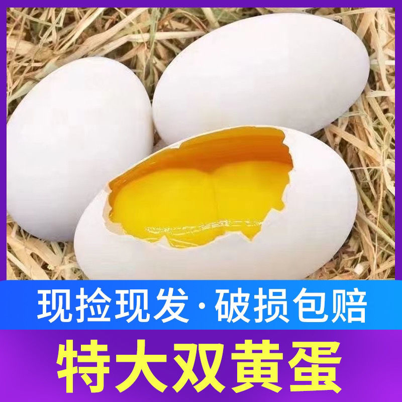 特大鹅蛋新鲜正宗农家散养土鹅蛋孕妇宝宝破损包赔农家土特产