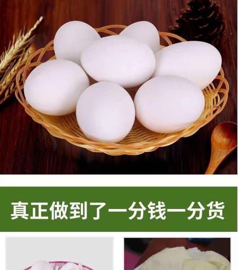 特大鹅蛋新鲜正宗农家散养土鹅蛋孕妇宝宝破损包赔农家土特产