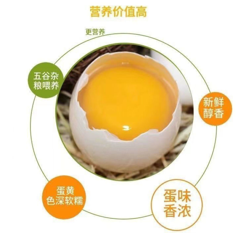 特大鹅蛋新鲜正宗农家散养土鹅蛋孕妇宝宝破损包赔农家土特产