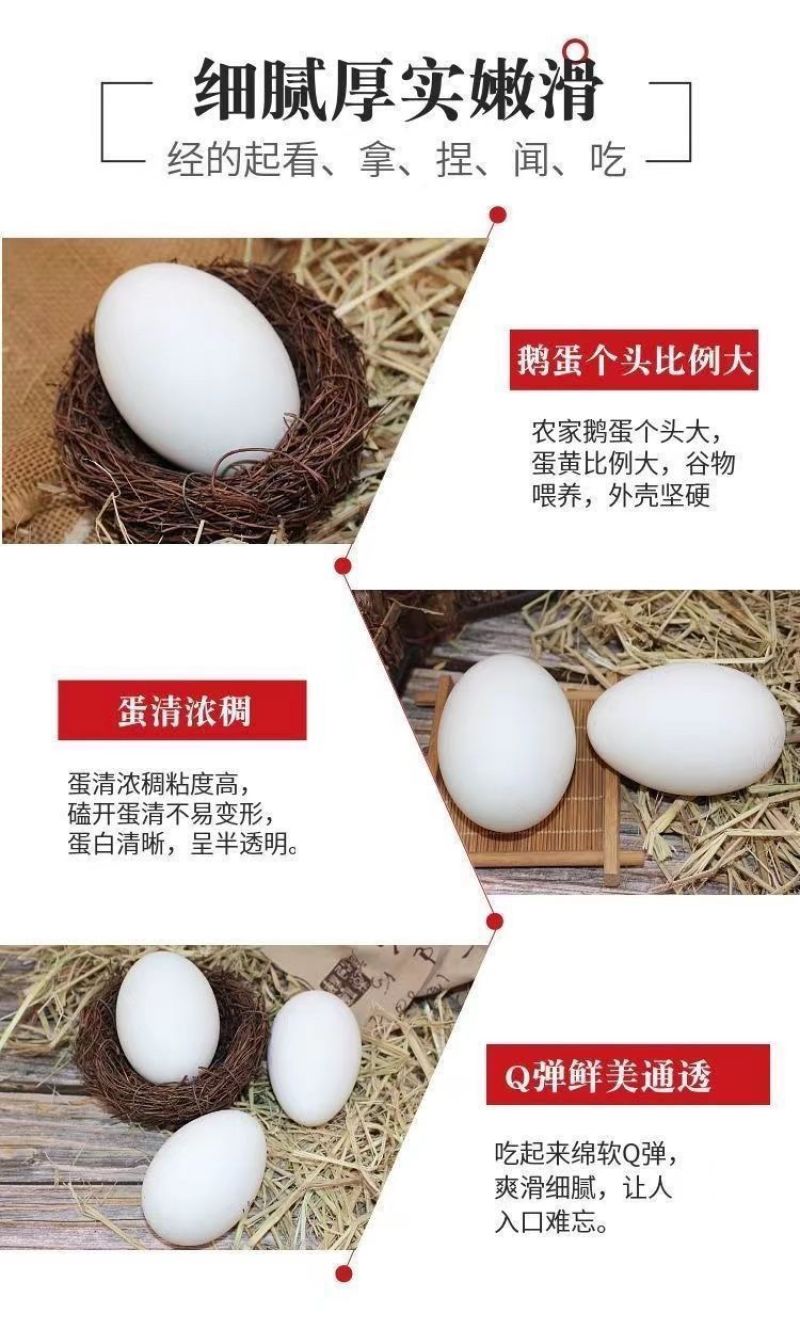 特大鹅蛋新鲜正宗农家散养土鹅蛋孕妇宝宝破损包赔农家土特产
