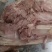 猪头肉