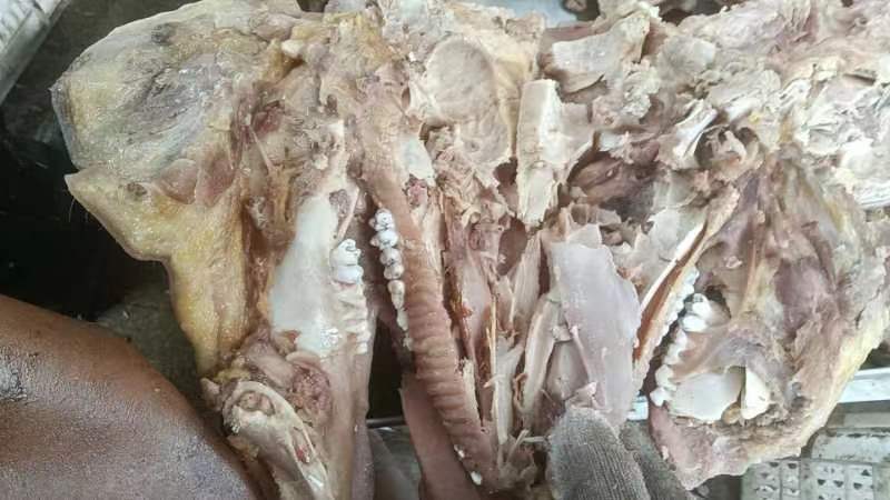 猪头肉
