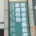 深山椴木灵芝孢子粉，包邮！代做贴牌！