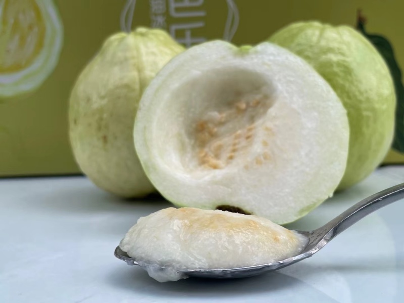 台湾番石榴白心芭乐，软香芭乐