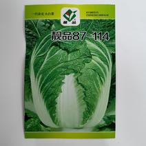 靓品87-114大白菜种子白菜种子