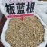 中药材，板蓝根，全年大量供应，欢迎新老客户咨询下单