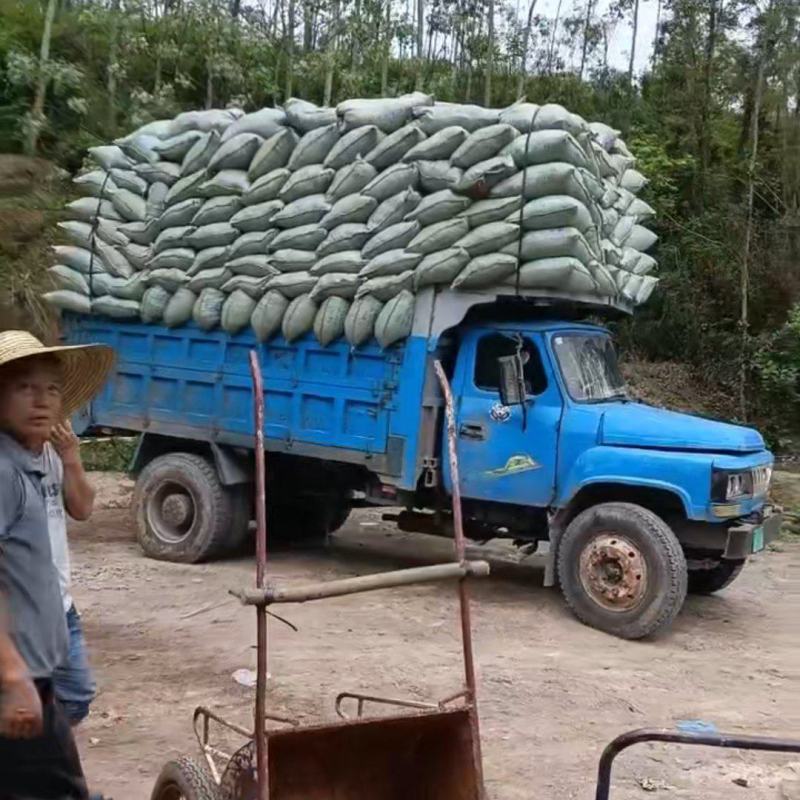 鸡粪农家肥一手自己养鸡的