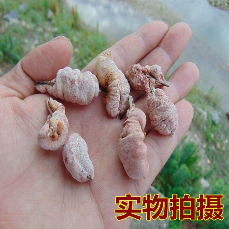 【野生竹黄】竹黄竹茧多竹花无硫竹黄多规格可选竹花包邮