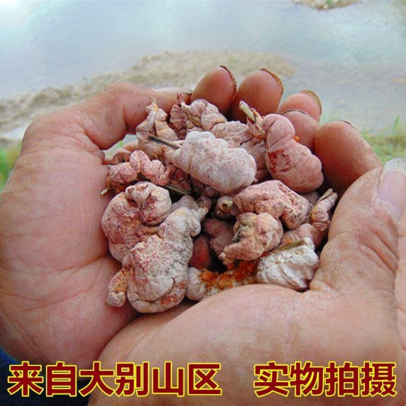 【野生竹黄】竹黄竹茧多竹花无硫竹黄多规格可选竹花包邮