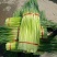 中牟早熟，小红帽蒜薹，小把精品，可分装。