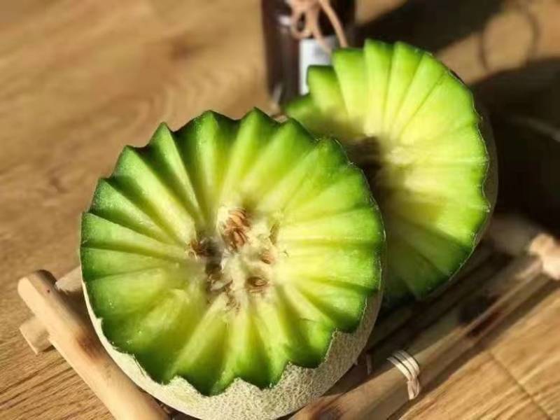 山东聊城莘县千万亩本地博洋甜瓜，大量供应欢迎各位老板前来