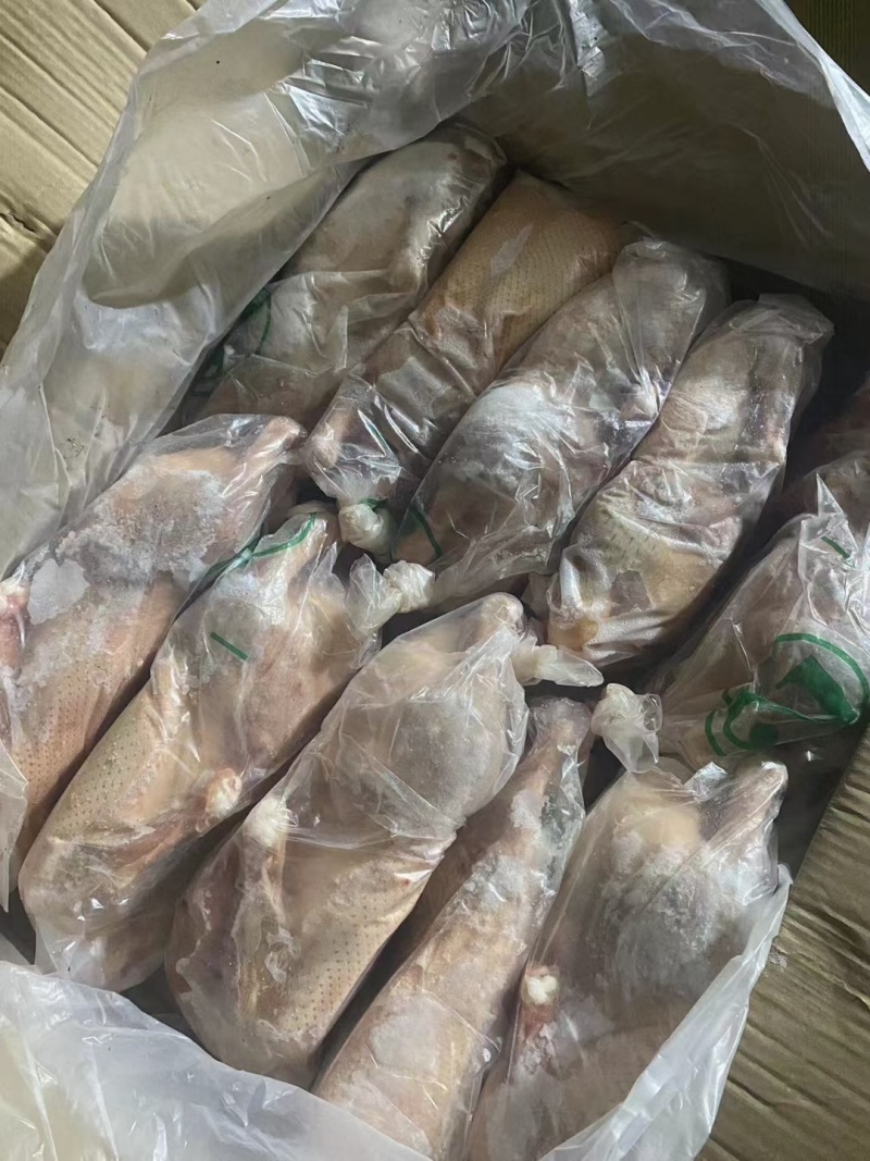 白条鸭