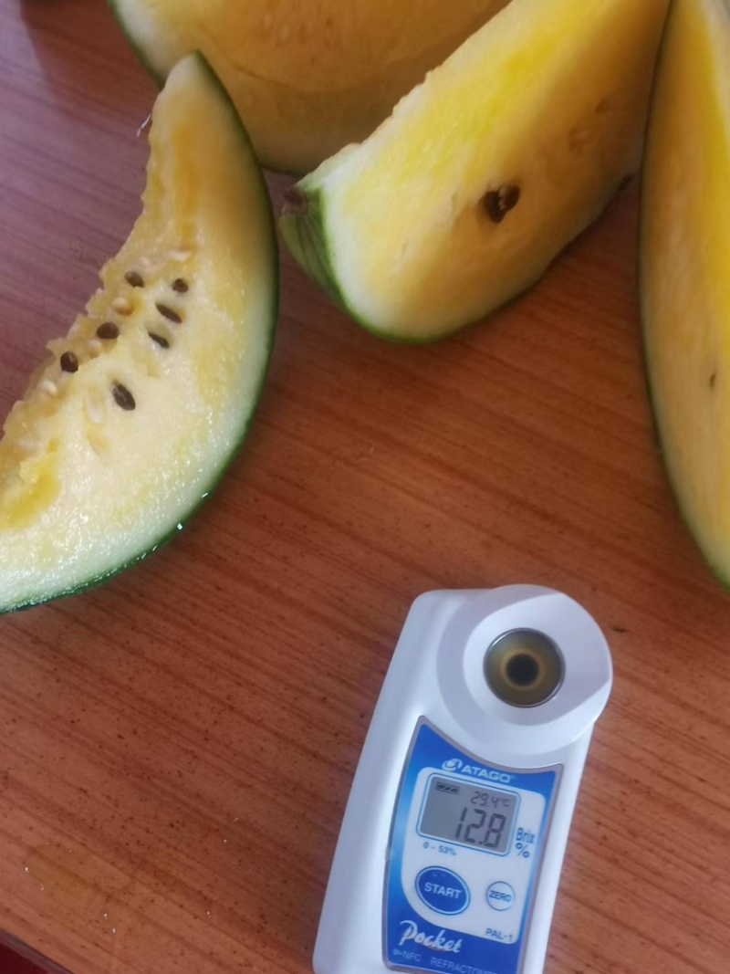 正品保障西瓜长期供应