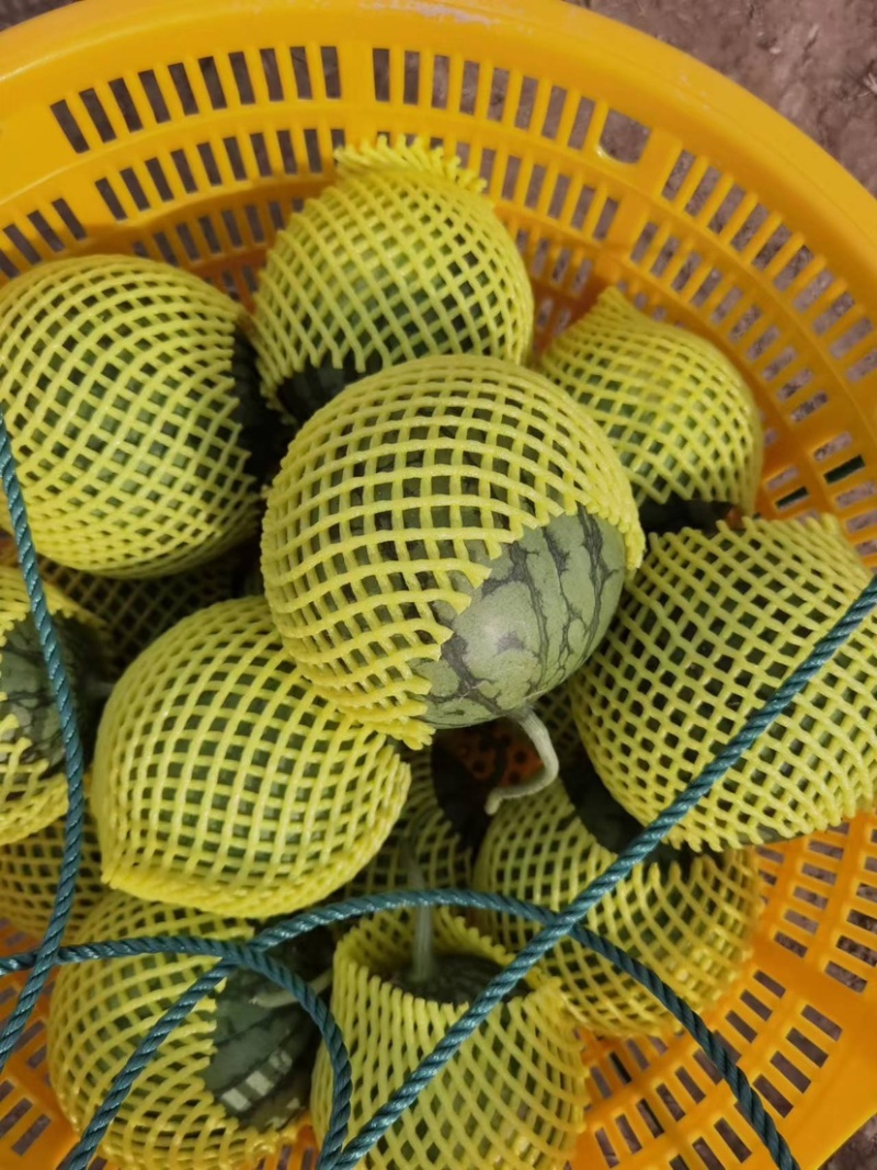 正品保障西瓜长期供应