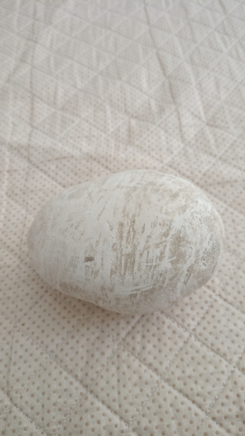 狗宝