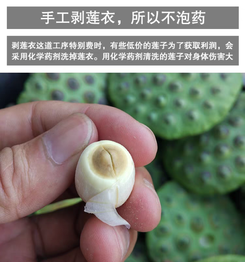 优质莲子广昌白莲去芯心连子江西农家纯手工干货特产一件批发
