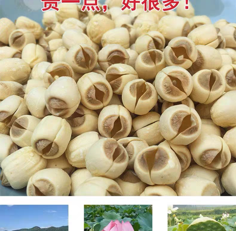 优质莲子广昌白莲去芯心连子江西农家纯手工干货特产一件批发