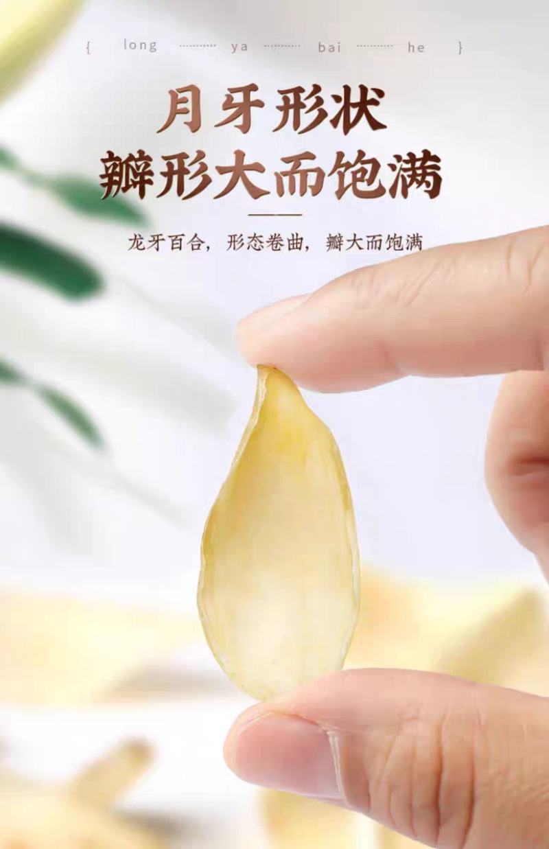 湖南特产龙牙百合干特级干货无硫煲汤熬粥食用一件代发批发