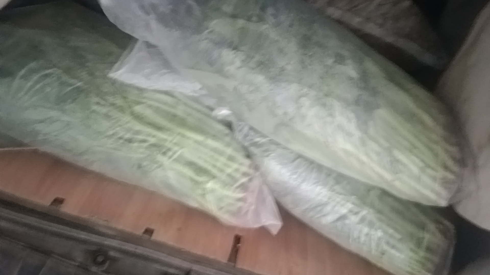 现代超市冷柜中整齐摆放的预包装菠菜,透明盒装可见翠绿叶片,标签清晰标注产地、生产日期、有机认证标志及二维码溯源信息,体现高品质安全农产品形象 超市货架上陈列的新鲜包装菠菜