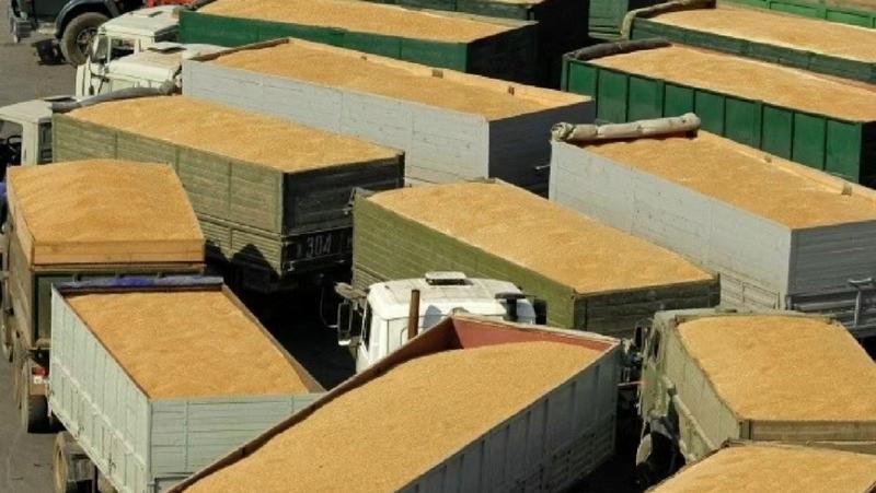 俄罗斯非转基因大豆，可达全国各港口，清关价4800。