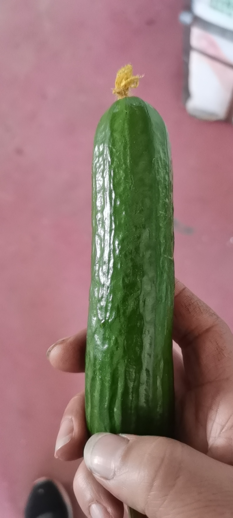 一件代发大量供应精品水果黄瓜！