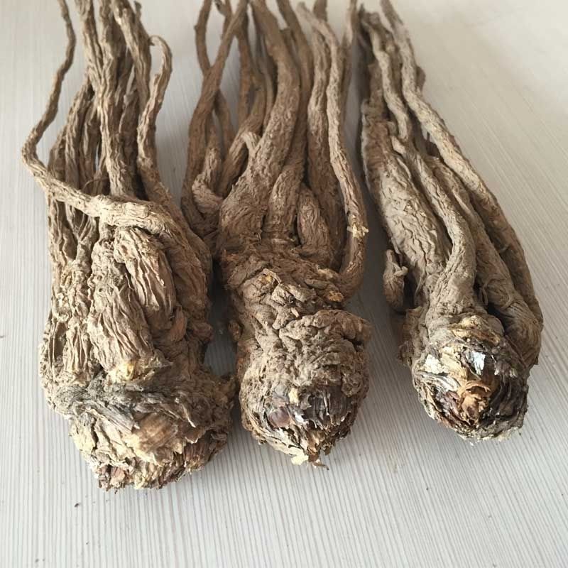 当归岷县全当归整根500克g甘肃中药材正品党归片黄芪党参