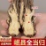 当归岷县全当归整根500克g甘肃中药材正品党归片黄芪党参
