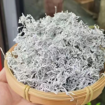 永顺清明茶