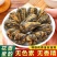 2024云南滇红茶特级凤庆滇红宝塔红茶茶叶蜜香型100g