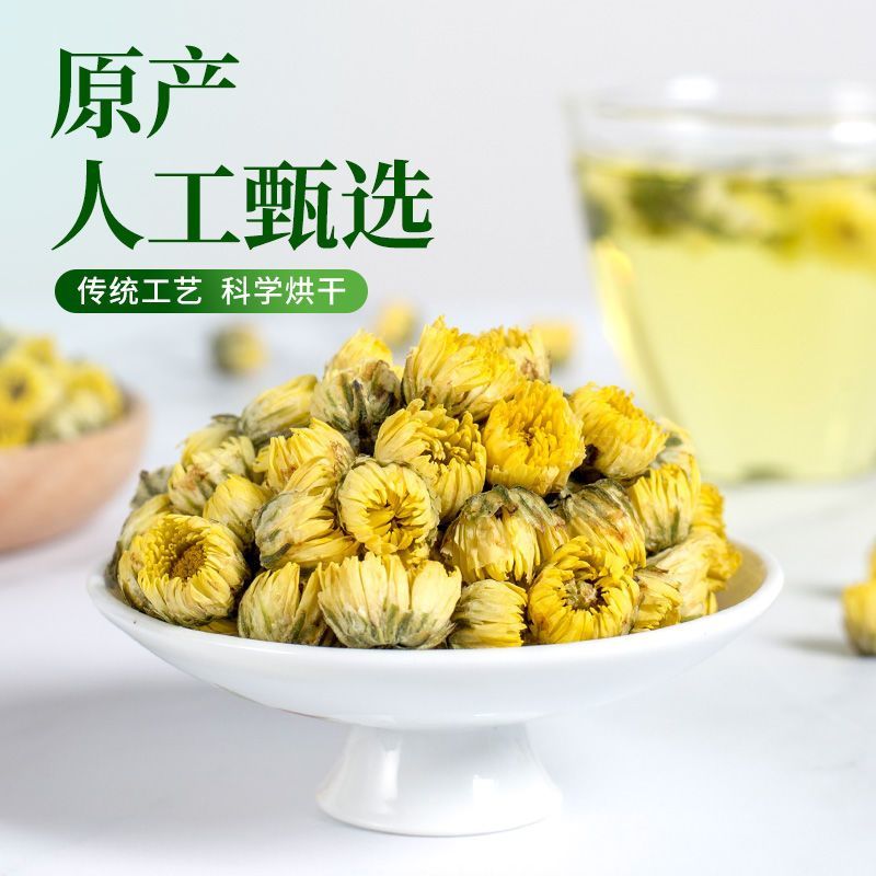 【桐乡直发】桐乡胎菊菊花茶杭白菊贡菊罐装凉茶熬夜花草茶叶