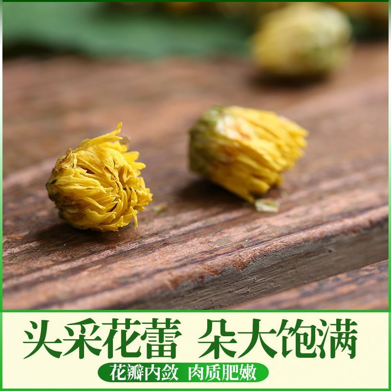 【桐乡直发】桐乡胎菊菊花茶杭白菊贡菊罐装凉茶熬夜花草茶叶