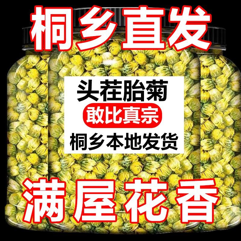 【桐乡直发】桐乡胎菊菊花茶杭白菊贡菊罐装凉茶熬夜花草茶叶