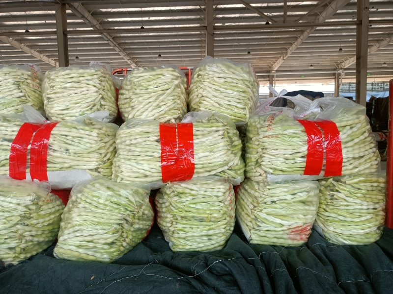 山东单县，芸豆，产地直供，货源充足，优等蔬菜，对接全国