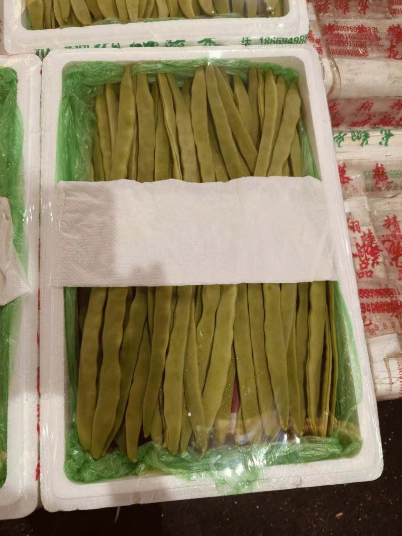 山东单县，芸豆，产地直供，货源充足，优等蔬菜，对接全国