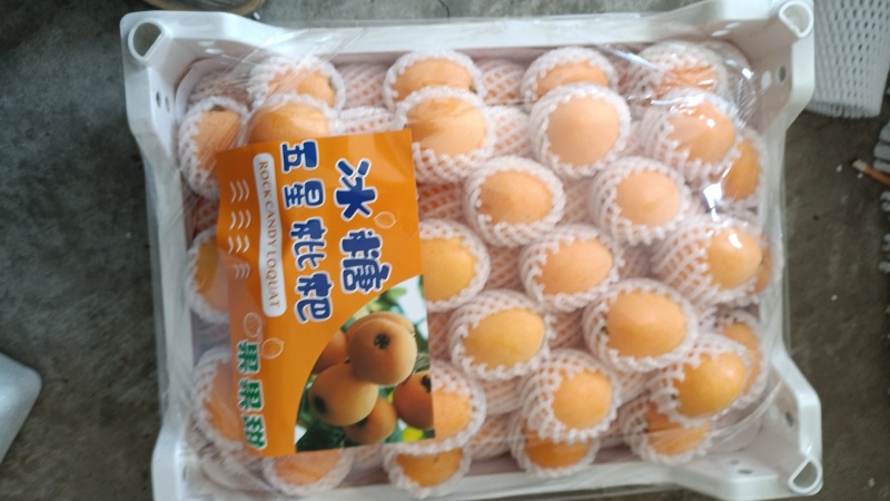 汉源大五星枇杷上市，可对接各大电商平台，社区团购一件代发
