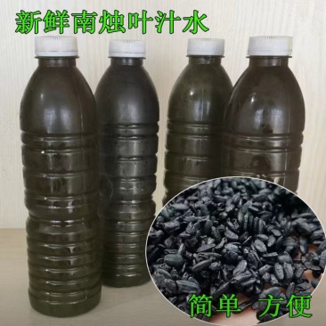 南烛叶汁