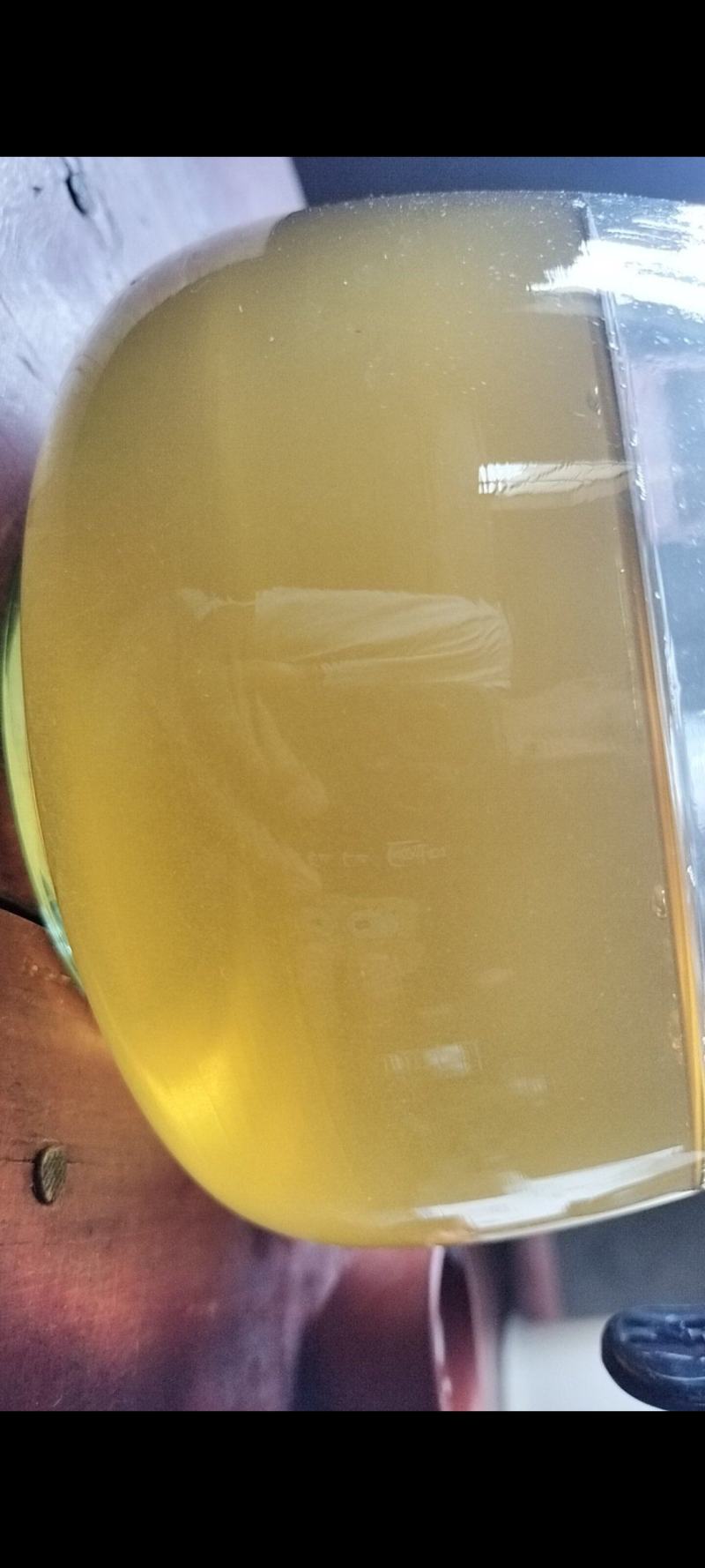古树春茶汤色