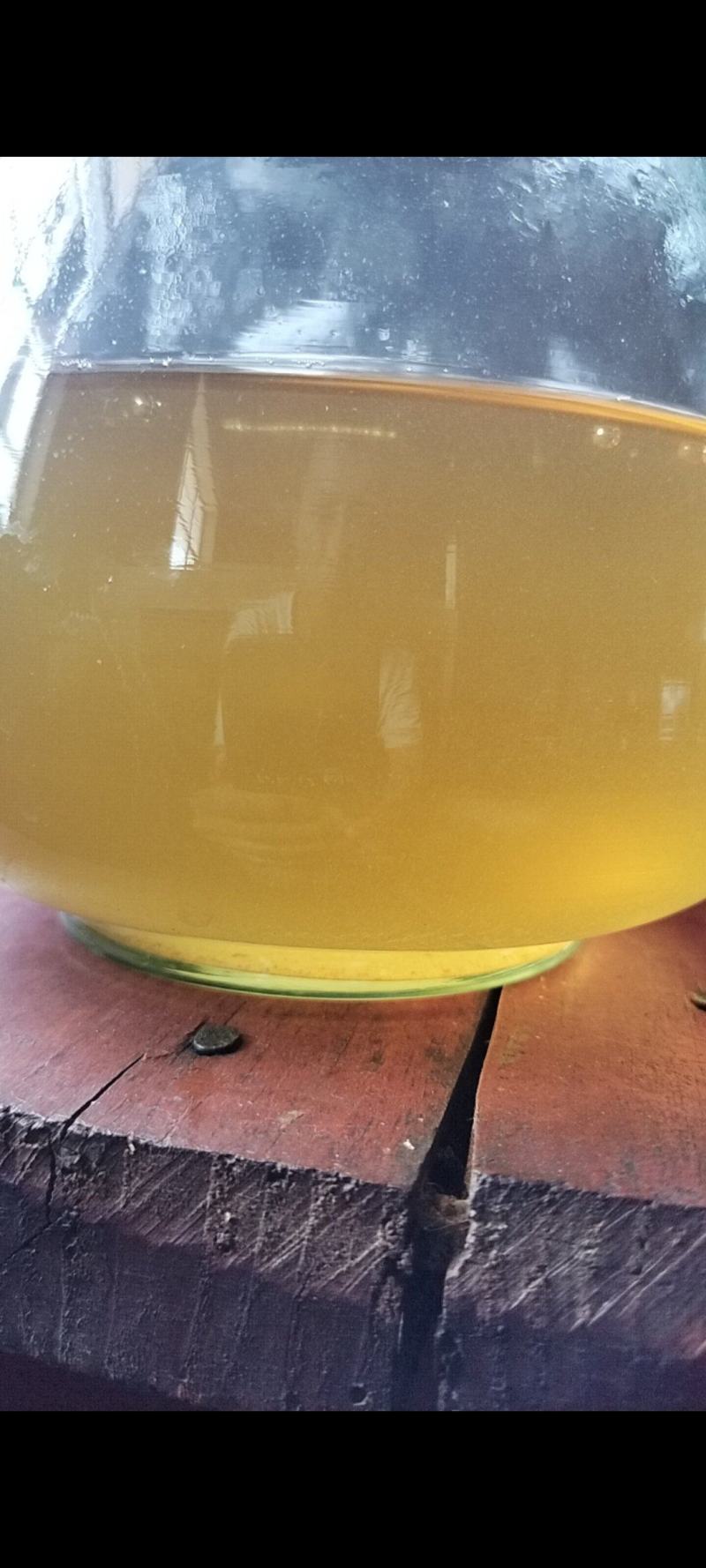 古树春茶汤色